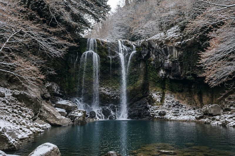 Hotel Pick up: Jeju Camellia & Tangerine & Snow Winter Tour - What the price buys, and what it does not