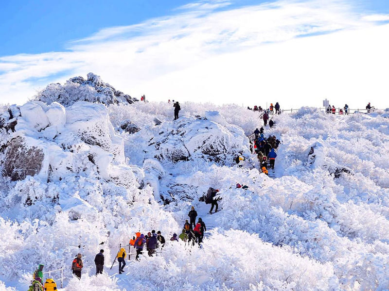 (Hotel Pick-up) Muju Deogyusan Ski & Snow Hiking Day Tour from Busan - At a glance
