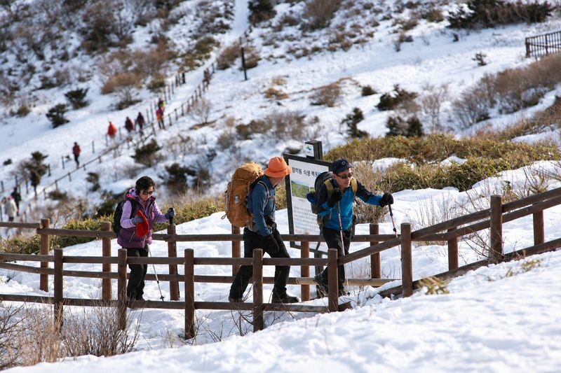 (Hotel Pick-up) Muju Deogyusan Ski & Snow Hiking Day Tour from Busan - Should you book it?