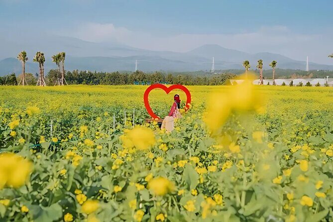 (Hotel PickUp) Jeju EAST Canola Flower Festival Tour with UNESCO - Final Thoughts: Is This Tour Right for You?