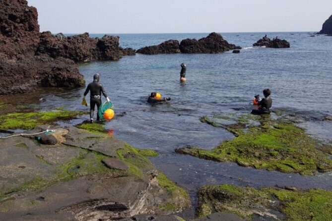 (Hotel PickUp) Jeju EAST Canola Flower Festival Tour with UNESCO - FAQs