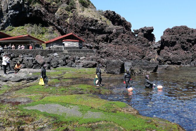 (Hotel PickUp) Jeju EAST Canola Flower Festival Tour with UNESCO - Final Words
