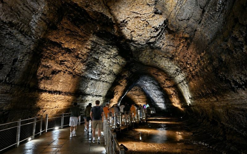 Hotel Pickup: Jeju Round-Island Grand Highlights Small Group Tour - Is $82.59 good value?