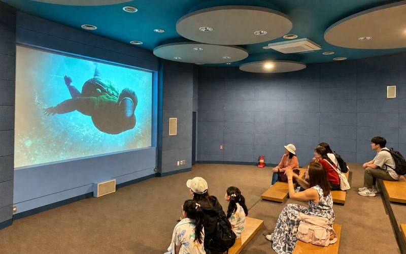 Hotel Pickup: Jeju Round-Island Grand Highlights Small Group Tour - Who should choose this tour?