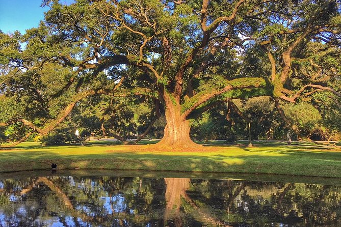 Houmas House Plantation Guided Tour - Description of Houmas House Plantation