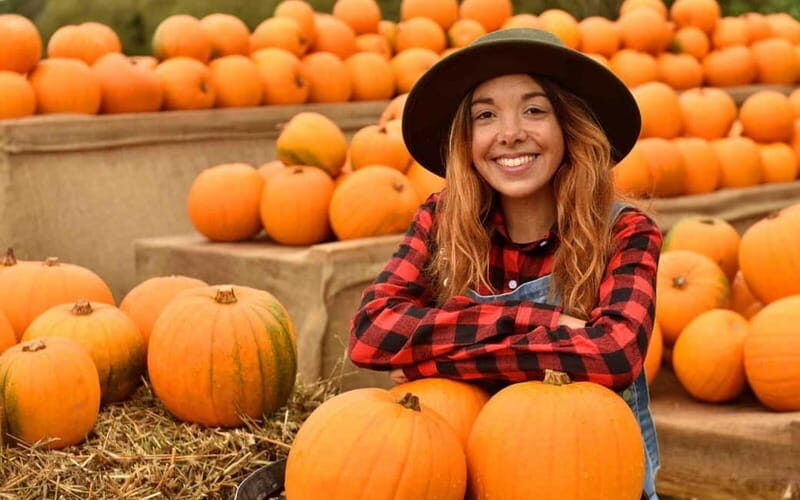 Hounslow: Pumpkin Patch Plus Entry to Hobbledown Heath - Good To Know
