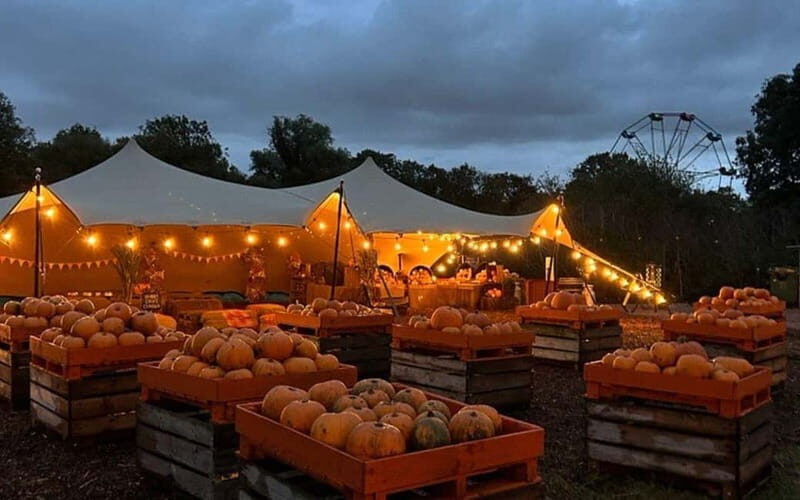 Hounslow: Pumpkin Patch Plus Entry to Hobbledown Heath - Practical Details
