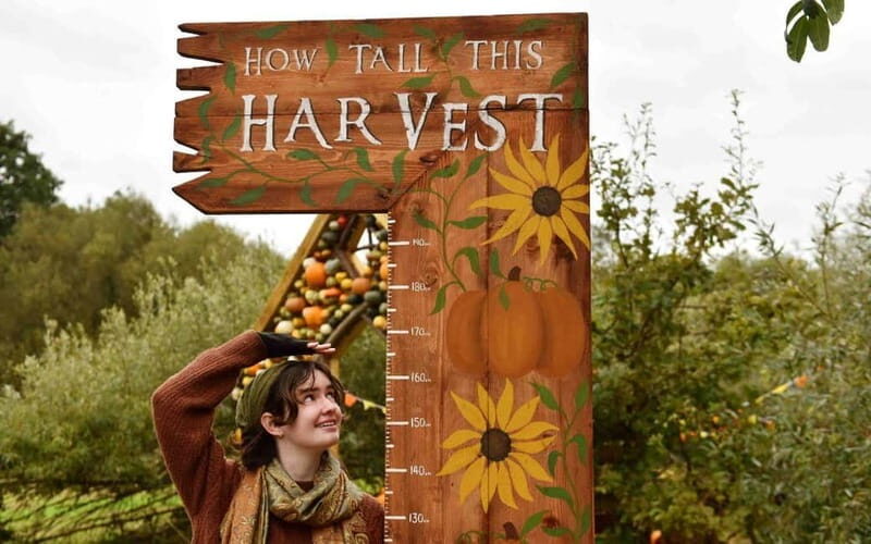 Hounslow: Pumpkin Patch Plus Entry to Hobbledown Heath - Authentic Insights from Reviews