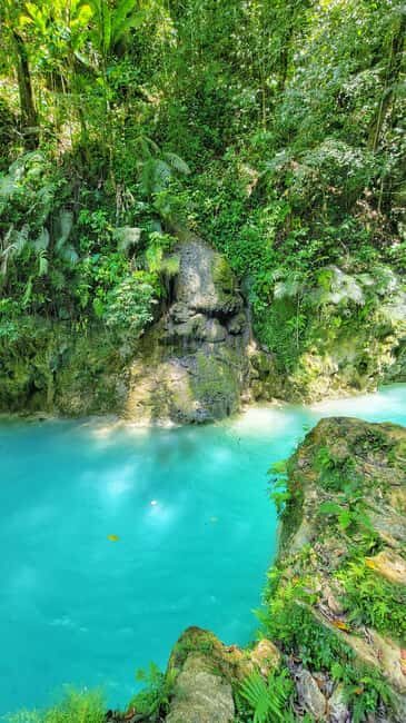 Hour Rio Partido's Secret River Trail with Lunch - Good To Know