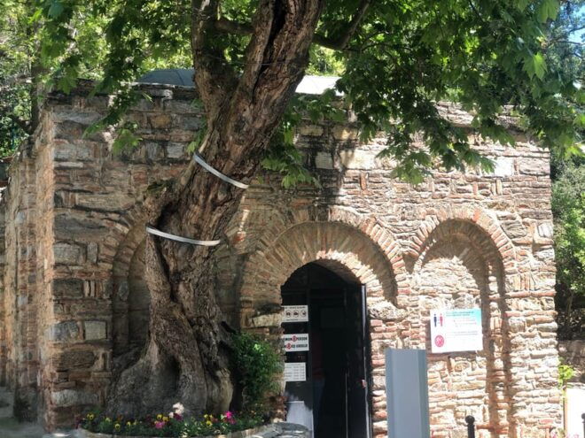 House of Virgin Mary and Shopping Tour From Kusadasi Port - Artisanal Workshops Experience