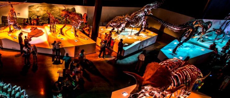 Houston: 1-Day or 3-Day Museum Pass - Top Museums Included
