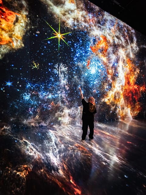 Houston: ARTECHOUSE Exhibition and Gallery Entry Ticket - Good To Know