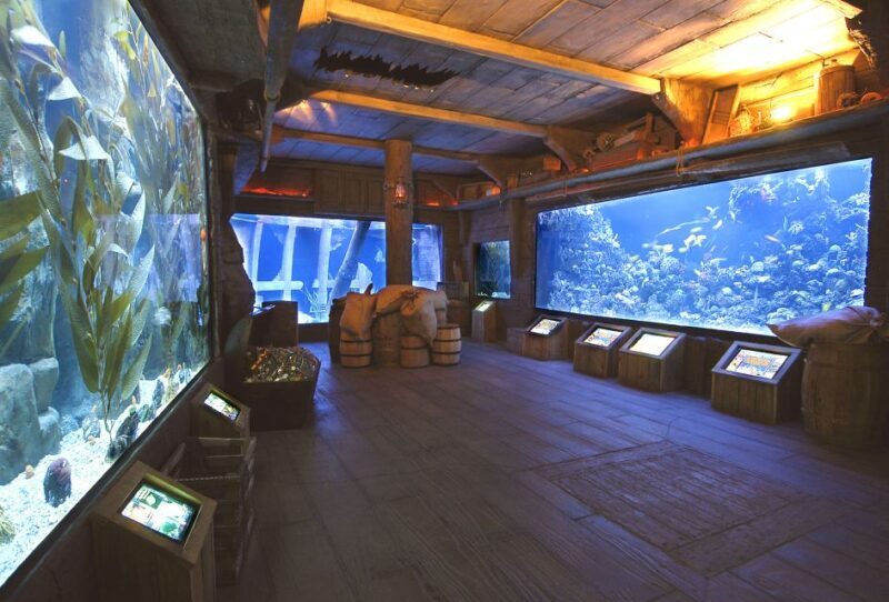 Houston CityPASS®: Save up to 51% at 5 Top Attractions - The Sum Up