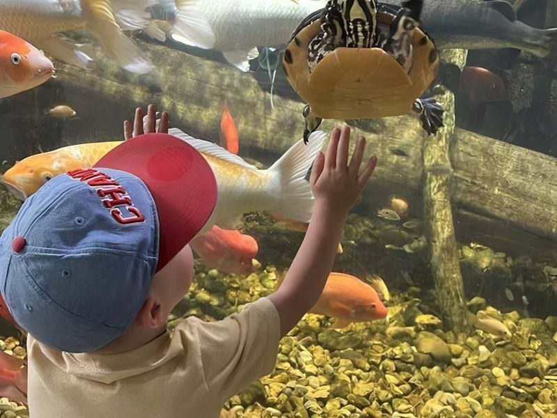 Houston Interactive Aquarium & Animal Preserve Ticket - At a glance