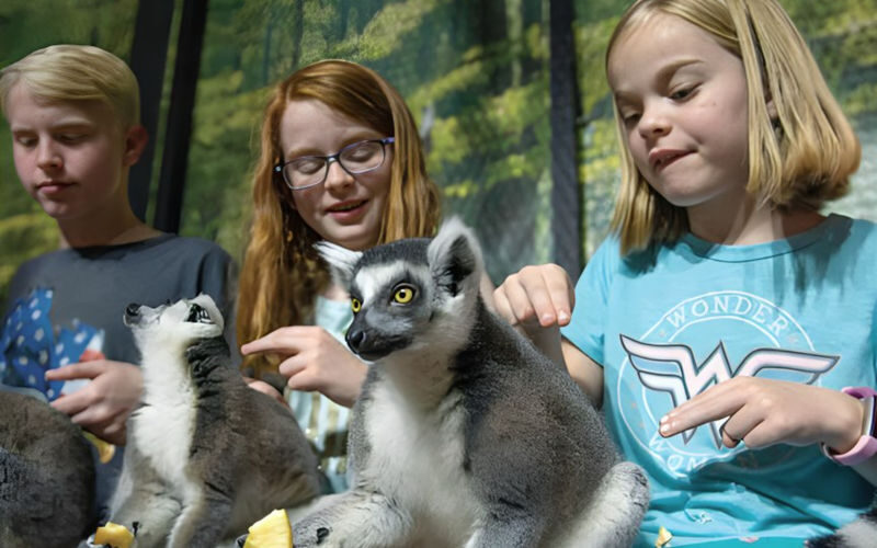 Houston Interactive Aquarium & Animal Preserve Ticket - Encounter zones bring the wildlife closer