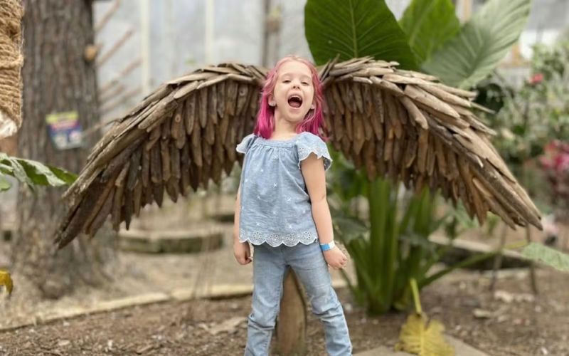 Houston Interactive Aquarium & Animal Preserve Ticket - Arcade games and photo stops add variety