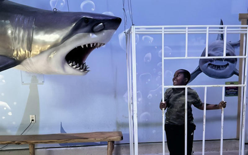Houston Interactive Aquarium & Animal Preserve Ticket - How long to stay, and what the ticket buys