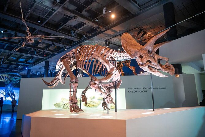 Houston Kids Choice Museum Pass - Package Highlights