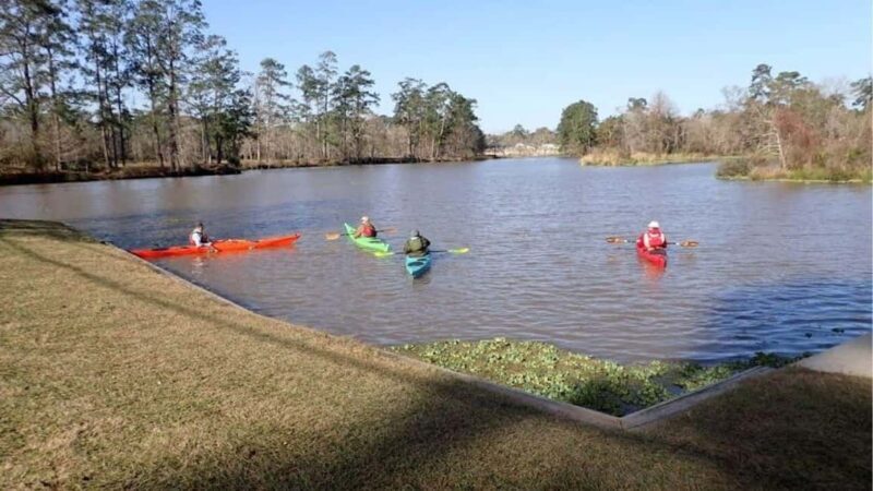 Houston: Luce Bayou Kayaking Tour - Good To Know