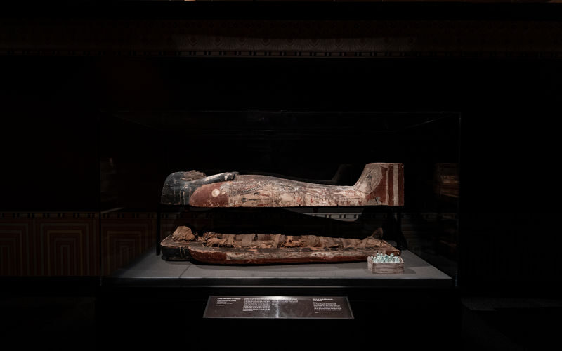 Houston Museum of Natural Science Admission Ticket - Dinosaur skeletons bring the scale home