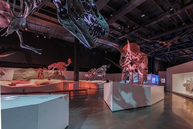 Houston Museum of Natural Science and Cockrell Butterfly Center - Interactive Exhibits and Educational Opportunities