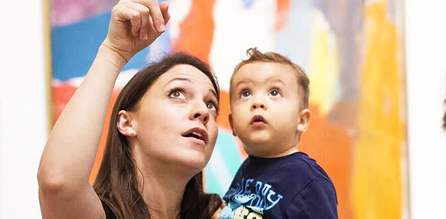 Houston Museum Pass - Key points to know before you go