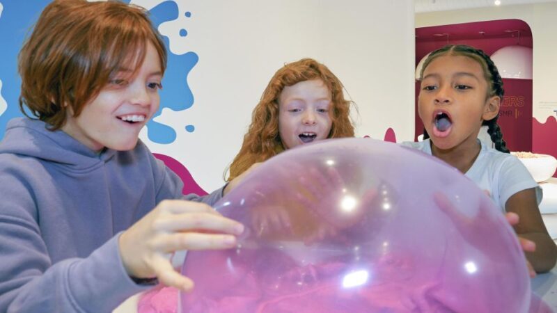 Houston: Sloomoo Institute Entry Ticket - Authentic Insights from Reviewers