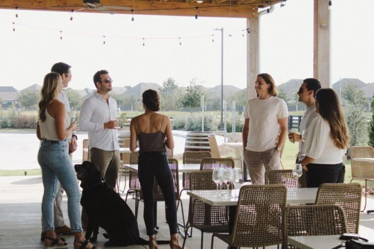 Houston: Texas Wine Tasting Tour - Tour Overview