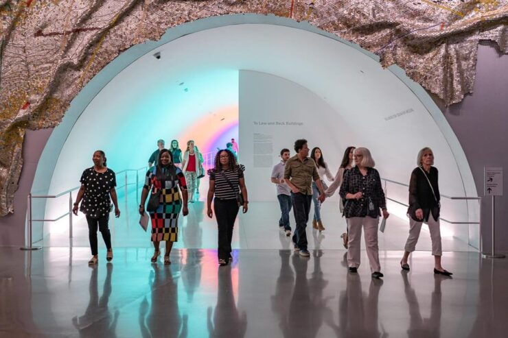 Houston: The Museum of Fine Arts All Access Ticket - Museum Highlights and Collections