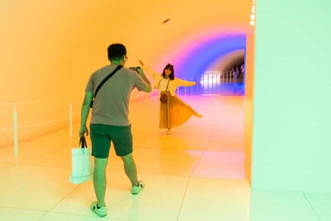 Houston: The Museum of Fine Arts All Access Ticket - Current and Upcoming Exhibitions