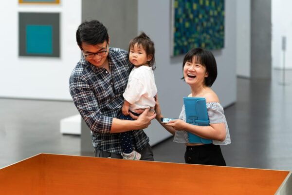 Houston: The Museum of Fine Arts All Access Ticket - Getting to the Museum