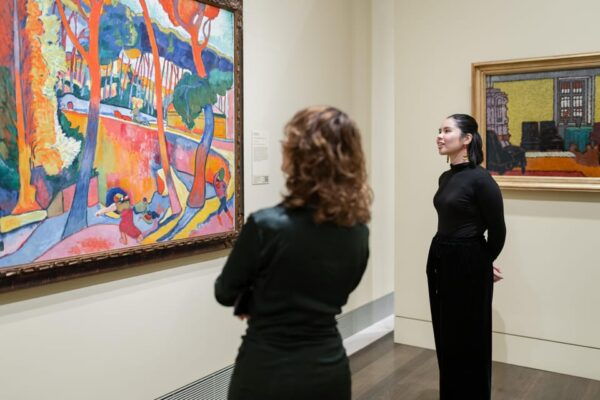 Houston: The Museum of Fine Arts All Access Ticket - Nearby Attractions and Dining
