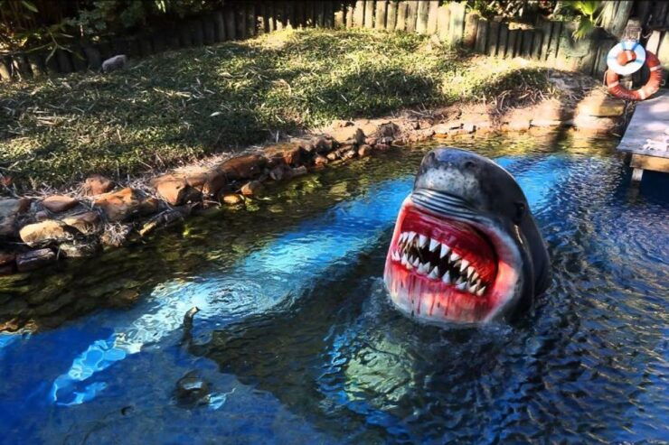 Houston Tour and Aquarium Ticket - Activity Details