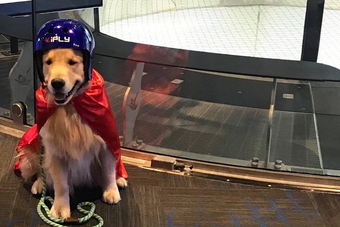 Houston Woodlands Indoor Skydiving With 2 Flights & Personalized Certificate - Reservation and Cancellation Policy