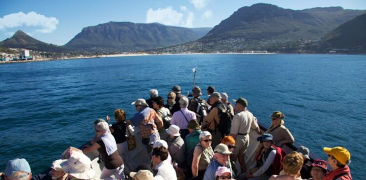Hout Bay: Duiker Island Seal Colony Cruise - Good To Know