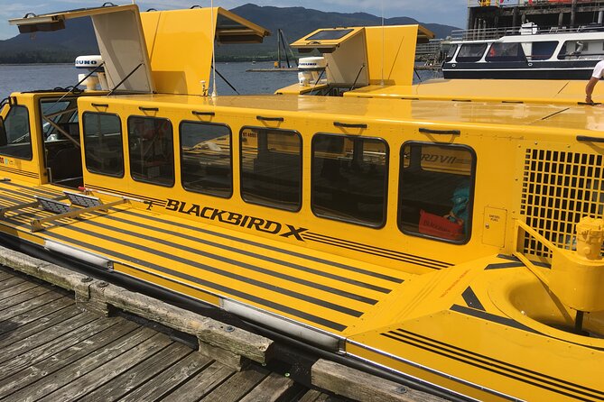 Hovercraft Eco Adventure and Wildlife Viewing - What to Expect