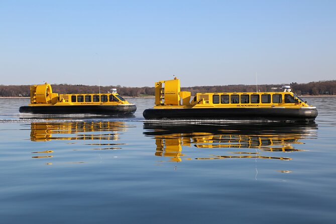 Hovercraft Eco Adventure and Wildlife Viewing - Duration
