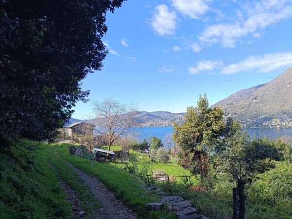How, Lathe: Panoramic Tour With Boat Ticket Included - The Sum Up