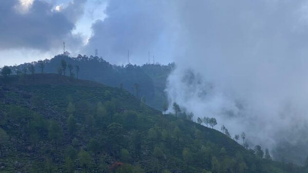 However, the Namunukula Range Day Tour (TRENDING) - Preparing for Your Adventure