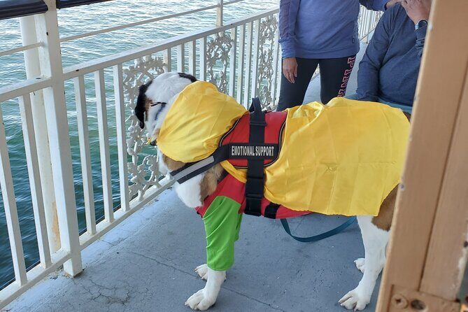 Howl O Ween Doggy Costume Party Cruise - Good To Know