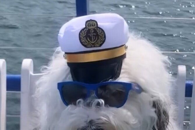 Howl O Ween Doggy Costume Party Cruise - Exploring the Itinerary in Detail
