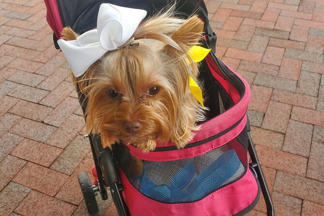Howl O Ween Doggy Costume Party Cruise - FAQs