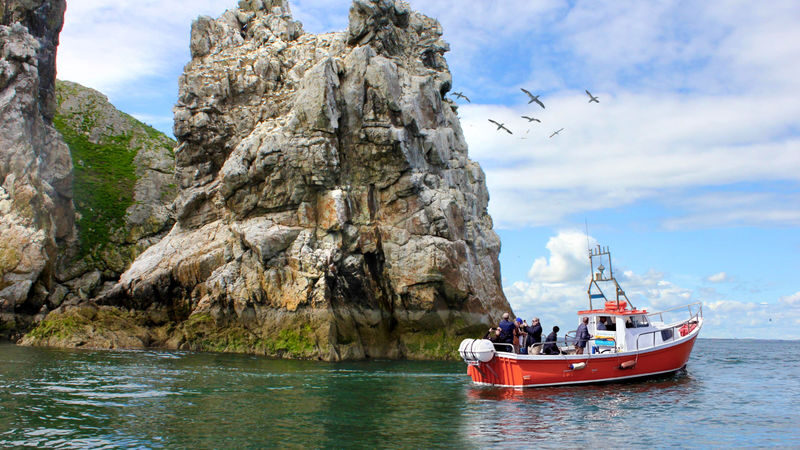 Howth Coastal Boat Tour in Dublin - Leaving Howth Harbour for Ireland’s Eye