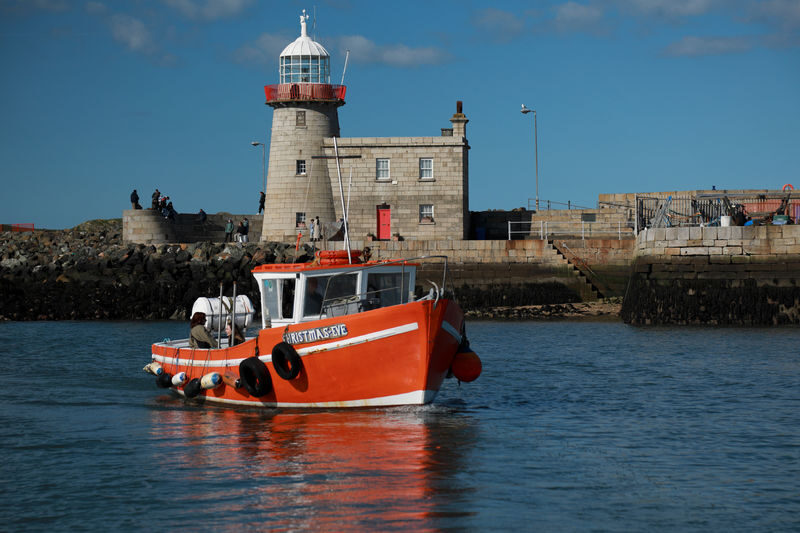 Howth Coastal Boat Tour in Dublin - What the $28.09 fare gets you