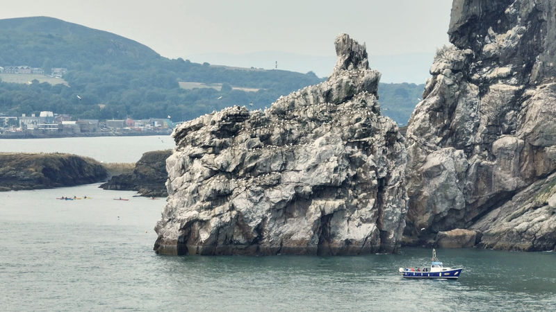 Howth Coastal Boat Tour in Dublin - Practical details before you go