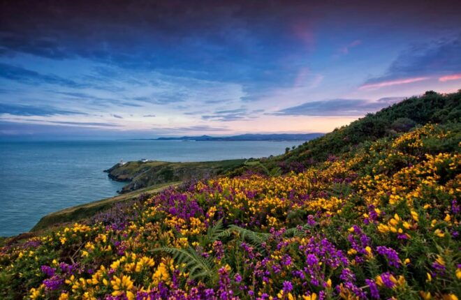 Howth Coastal Walk - Experiencing Howths Natural Beauty