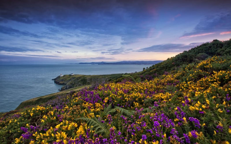 Howth & Howth Cliff Walk Half-day Bus & Guided Tour - Howth is a short escape with a different rhythm