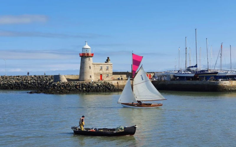 Howth & Howth Cliff Walk Half-day Bus & Guided Tour - The harbor adds a gentler side to Howth
