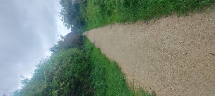 Howth Walking Tours 30 Minutes From Dublin by Train/Bus - Experience and Highlights of the Tour