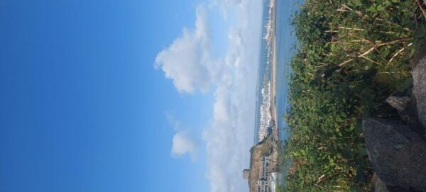 Howth Walking Tours 30 Minutes From Dublin by Train/Bus - Common Questions